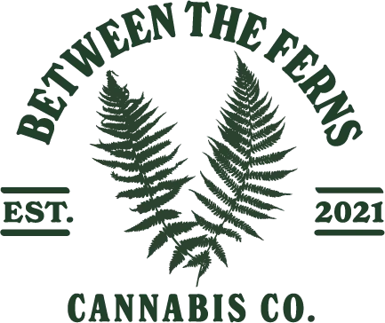 Between The Ferns Between The Ferns Logo